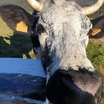 Holiday home A Rufus Le Menil