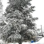 Holiday home A Rufus