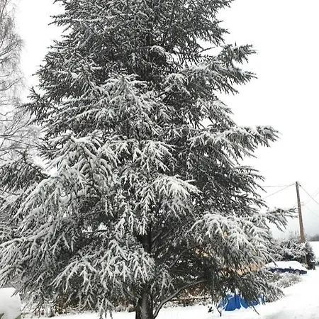 A Rufus, Maison De Charme Au Menil, Au Coeur De La Nature Vosgienne