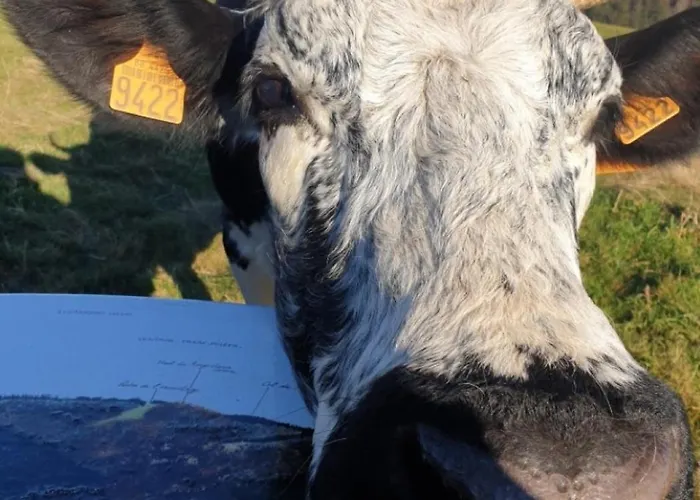 Prázdninový dům A Rufus Le Ménil