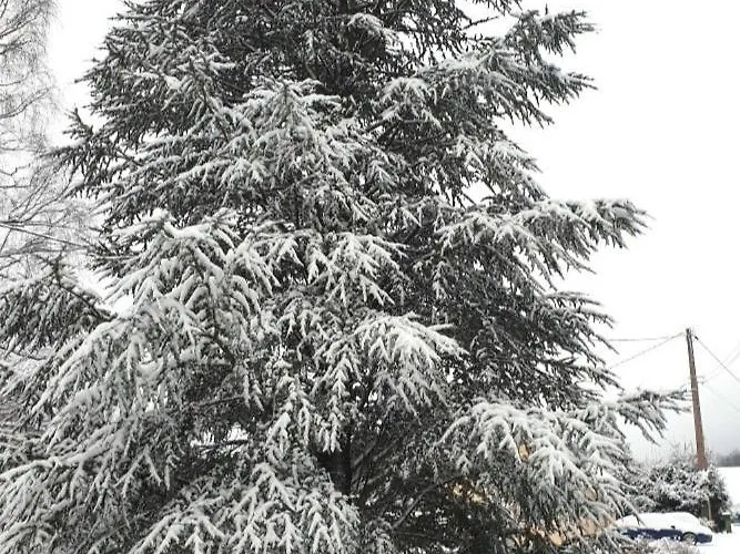 Prázdninový dům A Rufus